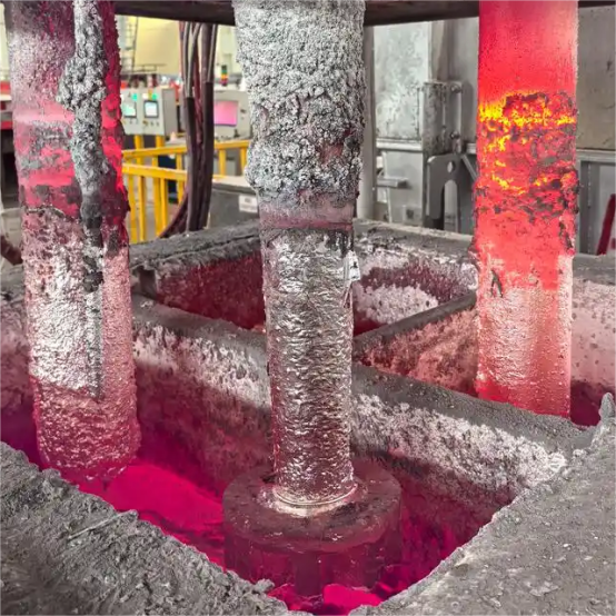 degassing machine rotor