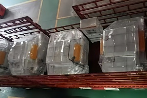 52_副本_副本